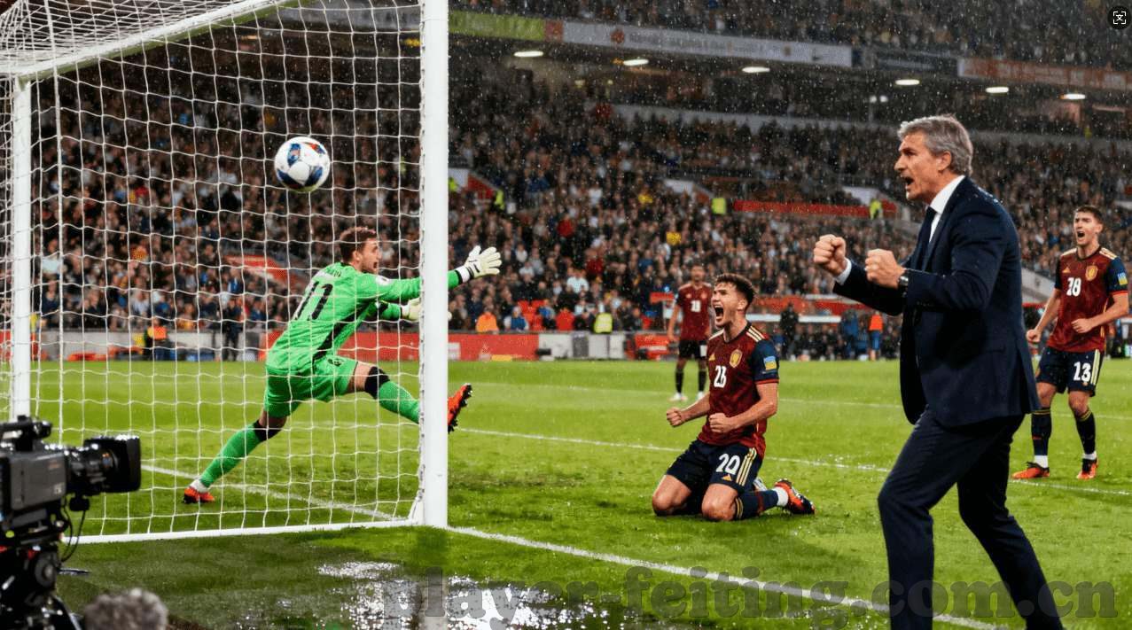 接手2022世界杯-接手2022世界杯，足球盛宴的筹备与影响